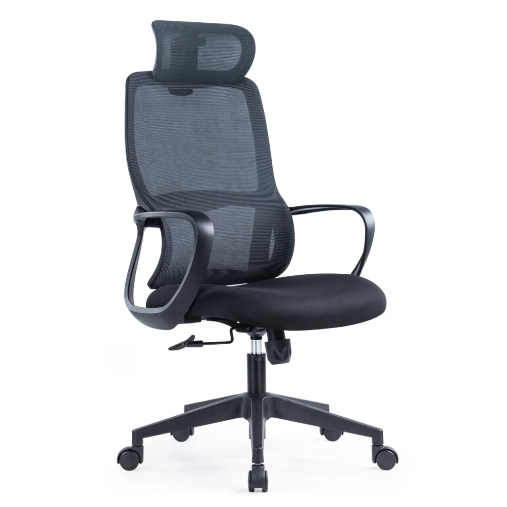 SkyLand  Workstation Chair CH 616 black