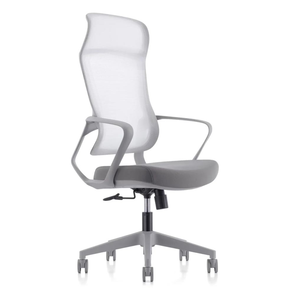 SkyLand CH 620 Workstation Chair with Lumbar Support and Breathable Mesh - Adjustable Comfort - for Home Office and Executives (GREY)