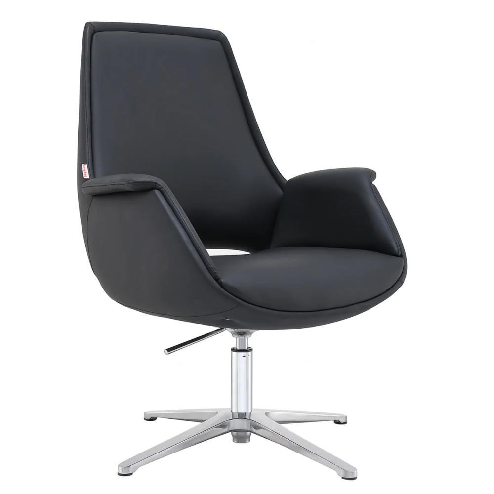 SkyLand Executive Chair CH 490 V black
