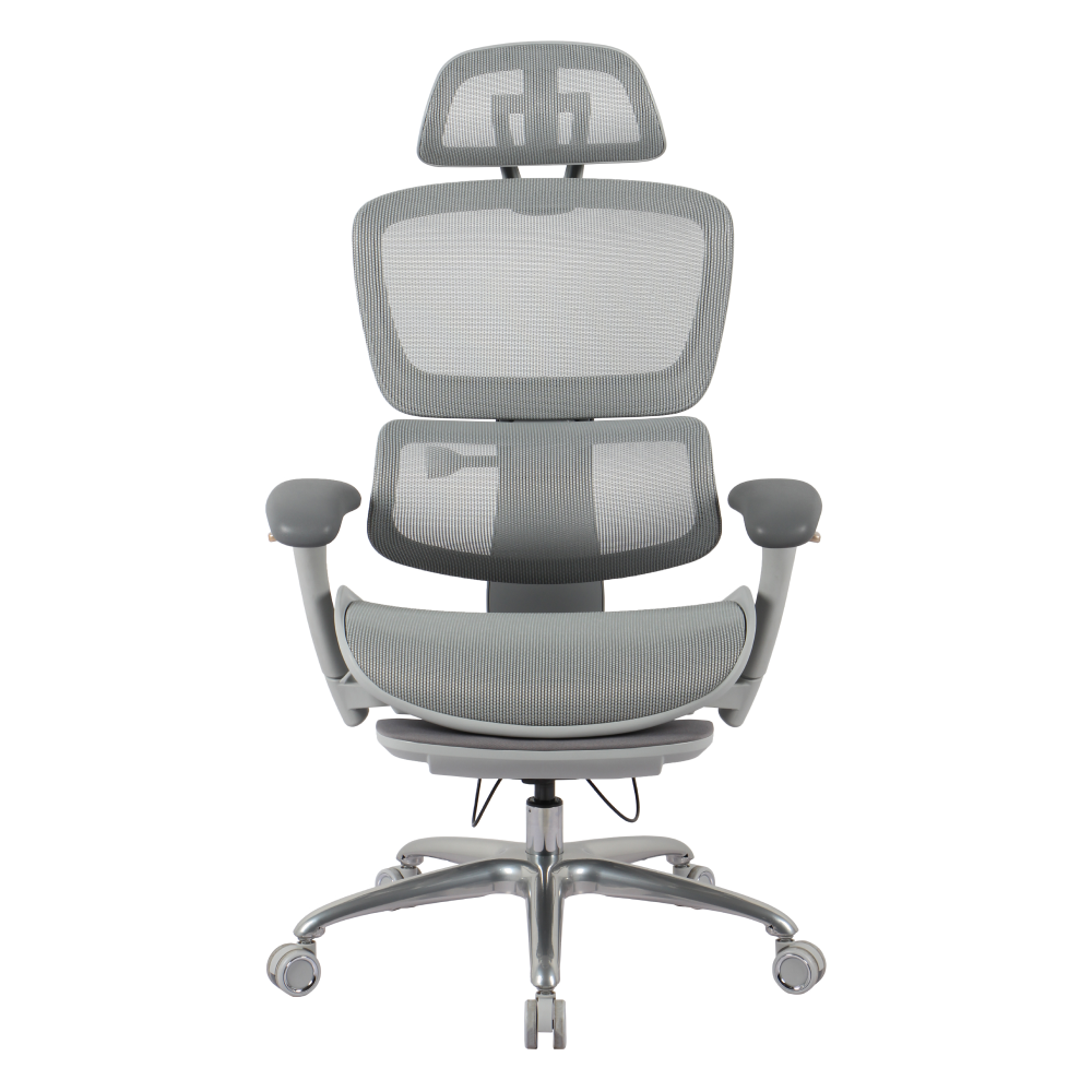 Skyland Executive Office Chair CH 960 grey