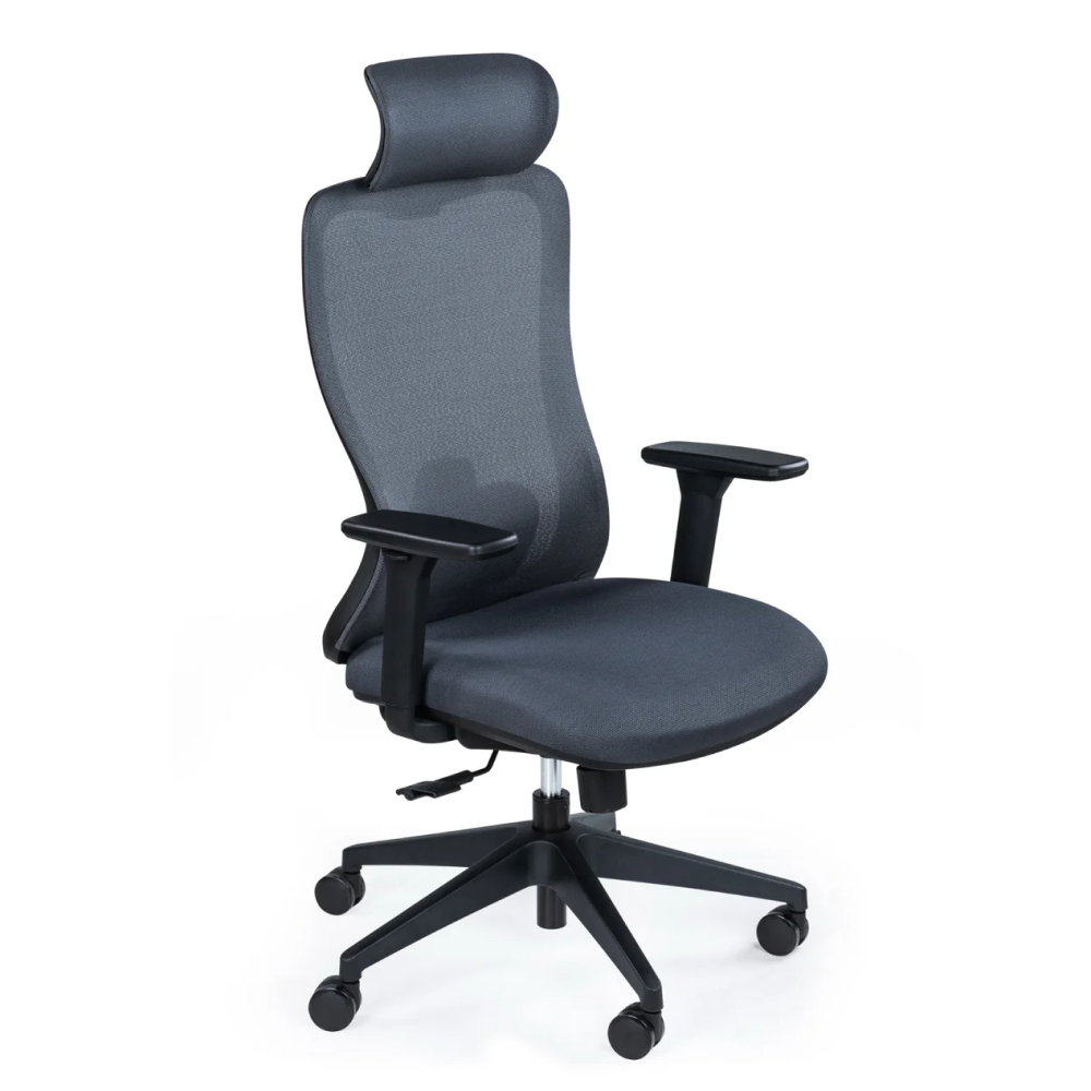 SkyLand Workstation Chair CH 175 black