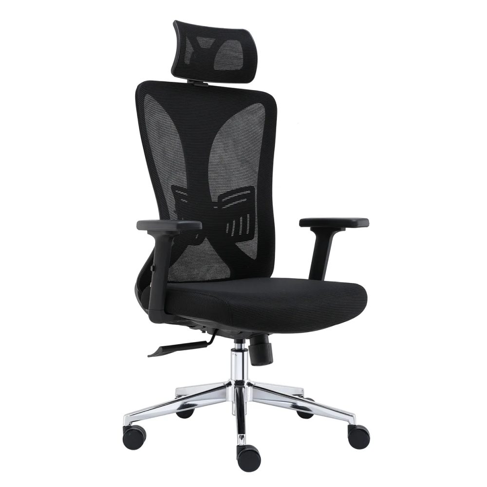 SkyLand Workstation Chair CH 250 black